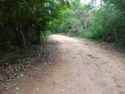 வடக்கு வீதிகள் சீரமைப்பு பற்றி ஆராய இந்திய நிபுணர் குழு வருகிறது