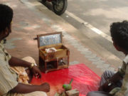 யாழில் ஜோதிடர்கள் கைது