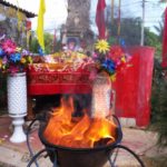 3BE8896F-47EF-4EDA-854D-85B3E2C9F4F7