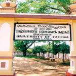 E42ECA33-BDAA-44AE-B581-4435222647F6