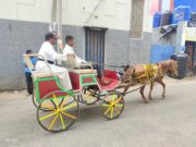 யாழில் குதிரை வண்டியில் பயணம் செய்யும் அருட்தந்தை